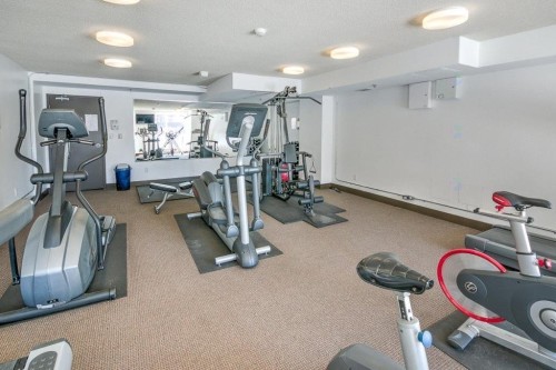 Salle d'exercice - 1210-1200 Rue St-Jacques, Montréal (Ville-Marie), QC - Indoor Photo Showing Gym Room