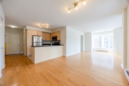 Salon - 1210-1200 Rue St-Jacques, Montréal (Ville-Marie), QC - Indoor Photo Showing Kitchen