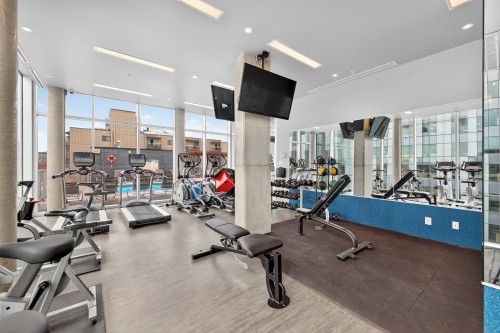Salle d'exercice - 1007-1150 Rue St-Denis, Montréal (Ville-Marie), QC - Indoor Photo Showing Gym Room