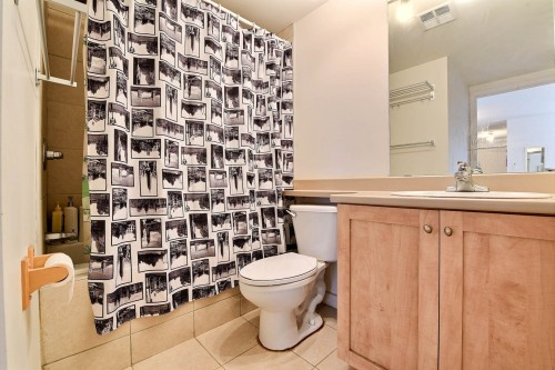 Salle de bains - 723-1225 Rue Notre-Dame O., Montréal (Ville-Marie), QC - Indoor Photo Showing Bathroom