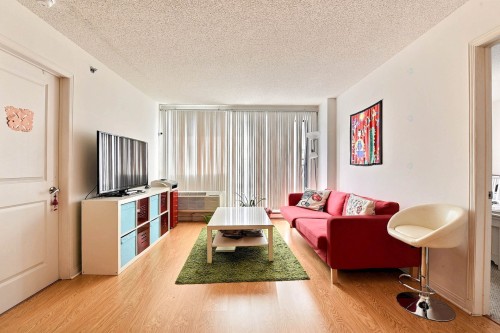 Salon - 723-1225 Rue Notre-Dame O., Montréal (Ville-Marie), QC - Indoor Photo Showing Living Room