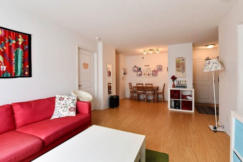 Salon - 723-1225 Rue Notre-Dame O., Montréal (Ville-Marie), QC - Indoor Photo Showing Living Room