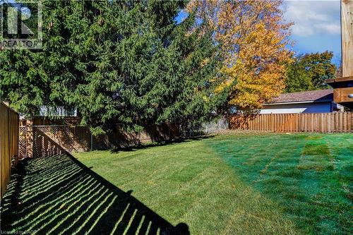 View of fenced backyard - 256 W King Street, Ingersoll, ON - Outdoor