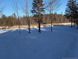 00-3 Reardon Road  Elmsville, NB E5A 0B5