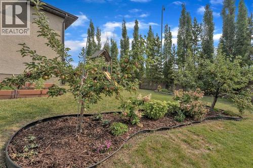 Summer photo of the apple trees - 113 Aspen Stone Place Sw, Calgary, AB - Outdoor