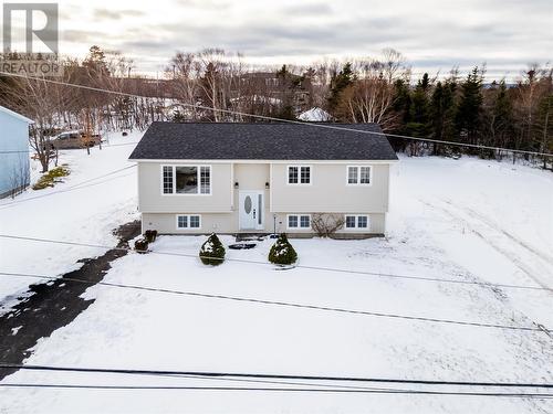 48 Franks Road  Conception Bay South, NL A1X 6W8