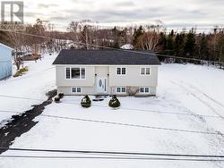 48 Franks Road  Conception Bay South, NL A1X 6W8