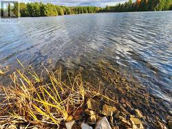 Summer swimming, fishing & boating - 