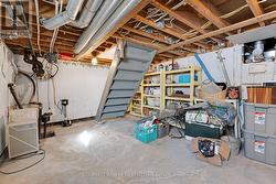 Basement utility  and storage area - 