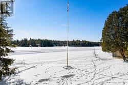 Swim in summer; ice fish in winter - 