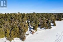 Surrounded by natural beauty - 