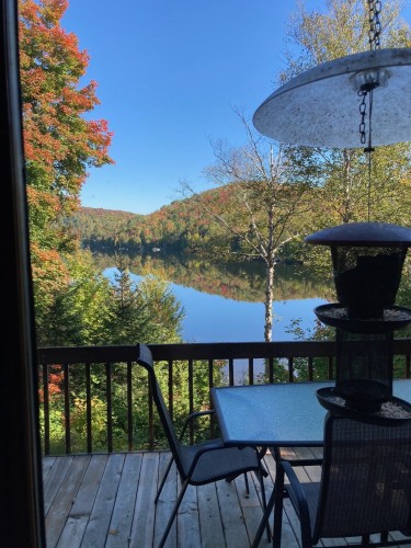 Vue sur l'eau - 851 Rue Des Tourterelles, Entrelacs, QC - Outdoor With Body Of Water With View