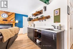 Lower level kitchenette - 