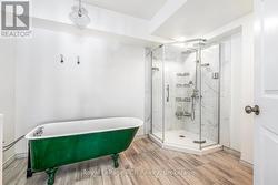 Lower level bathroom - 