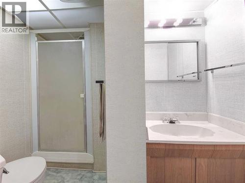 487 Arlington Drive Se, Calgary, AB - Indoor Photo Showing Bathroom