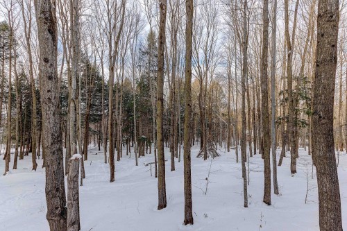Boisé - 101-141 Rue Du Cercle-Des-Cantons, Bromont, QC - Outdoor With View