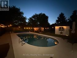 Gorgeous night time swims! - 