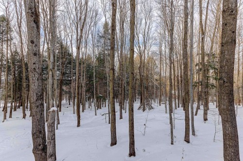 Wooded area - 104-141 Rue Du Cercle-Des-Cantons, Bromont, QC - Outdoor With View