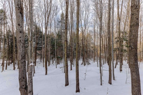 Wooded area - 103-141 Rue Du Cercle-Des-Cantons, Bromont, QC - Outdoor With View