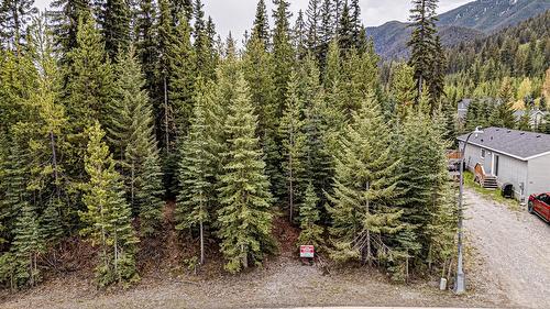 15 David Crescent, Elkford, BC - Outdoor