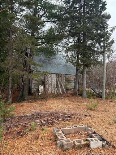 286 River Rd, Sunny Corner, NB 