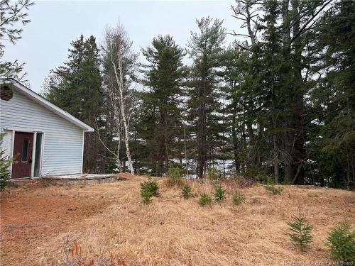 286 River Rd, Sunny Corner, NB 