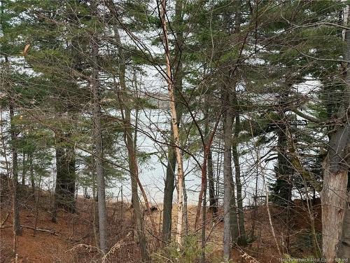 286 River Rd, Sunny Corner, NB 