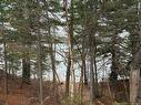 286 River Rd, Sunny Corner, NB 