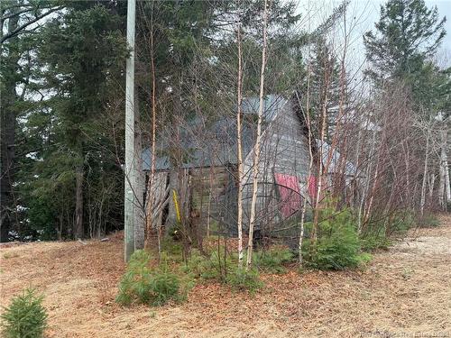 286 River Rd, Sunny Corner, NB 