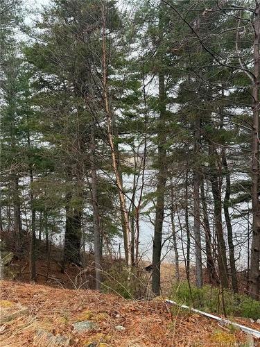 286 River Rd, Sunny Corner, NB 