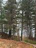 286 River Rd, Sunny Corner, NB 