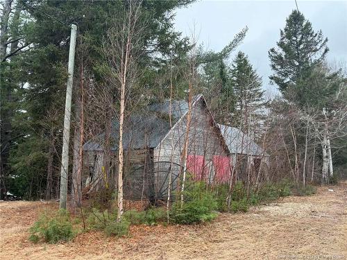 286 River Rd, Sunny Corner, NB 
