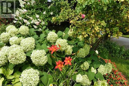 4131 Lorraine Crescent, Burlington, ON - Outdoor