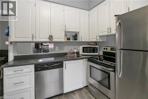133 Park Row N, Hamilton, ON - Indoor Photo Showing Kitchen With Double Sink
