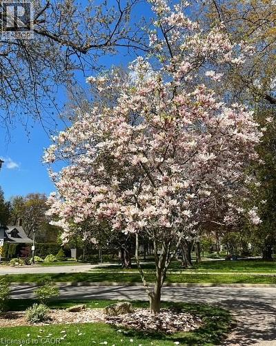 206 Rossmore Boulevard, Burlington, ON - Outdoor With View