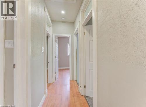 Hallway with light wood-style flooring and baseboards - 138 Courtland Avenue E, Kitchener, ON 