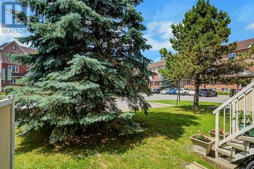 Backyard - 2232 Bois Vert Place, Ottawa, ON - Outdoor