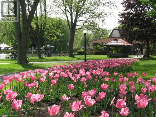 29 West Avenue Unit# 403, Kitchener, ON - Outdoor