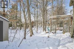 View of yard layered in snow - 