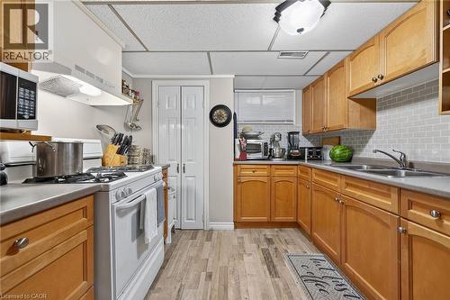 477 Lynden Road, Brantford, ON - Indoor Photo Showing Kitchen With Double Sink