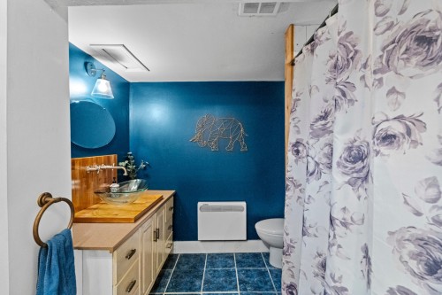 Salle de bains - 107 Rue Féré, Saint-Eustache, QC - Indoor Photo Showing Bathroom