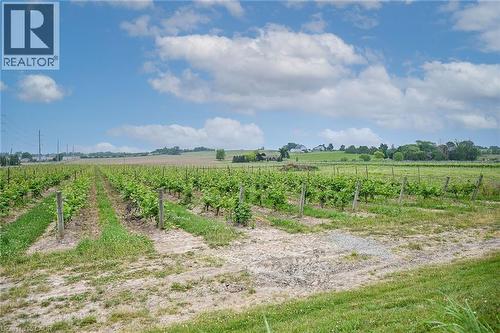 3749 Walker Road, Lincoln, ON 