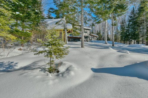 Cour - 479 Ch. Du Lac-Des-Cornes, Chute-Saint-Philippe, QC - Outdoor With View