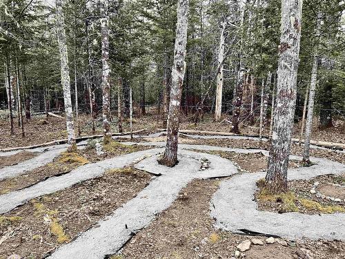 3389 Highway 340 Highway, Carleton, NS 