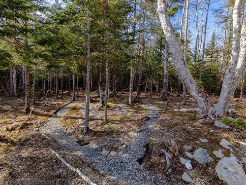 3389 Highway 340 Highway, Carleton, NS 