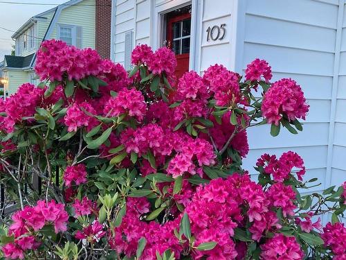 105 Normandy Avenue, Truro, NS 