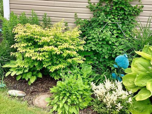 227 Haven Drive, Bridgewater, NS 