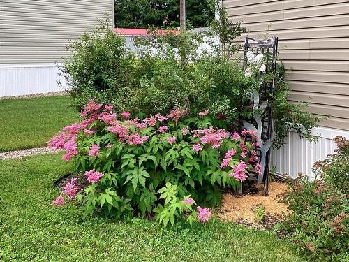 227 Haven Drive, Bridgewater, NS 