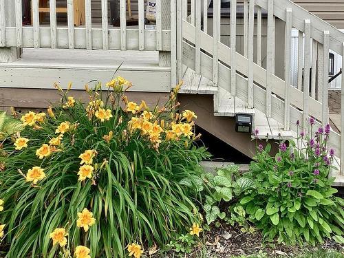 227 Haven Drive, Bridgewater, NS 