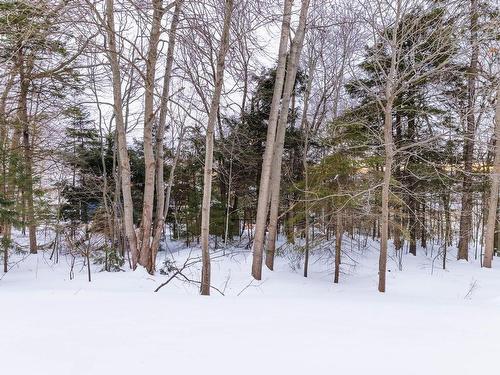 15 Appian Way, Dartmouth, NS 